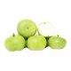 Tinda চাল কুমরো Wax Gourd Chal Kumra 1 pc 800 gm ~ 1 kg